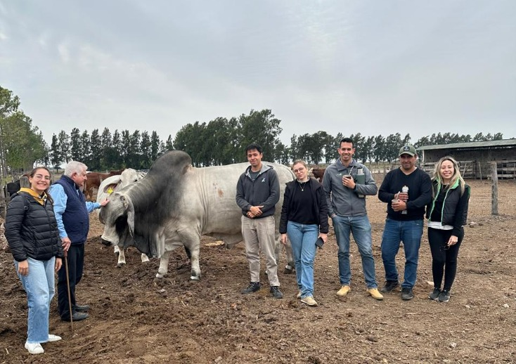 Veterinaria en Reconquista: formación práctica y vinculada con el medio